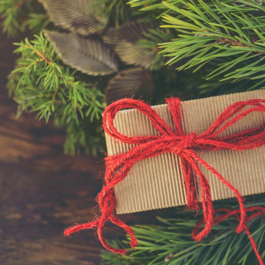 a brown cardboard gift box wrapped using a red string with a leafy background.